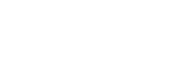 ИЖИ — Институт Живого Искусства